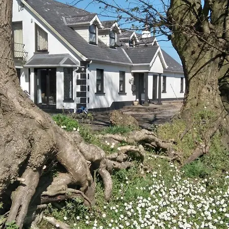 The Wandering Donkey Carlow