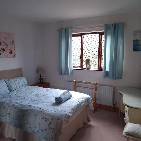 Gæstehus The Wandering Donkey Carlow