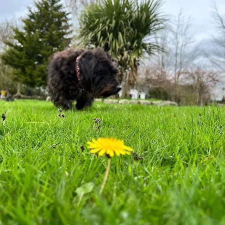 The Wandering Donkey Gæstehus 3*