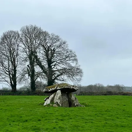 The Wandering Donkey 3*