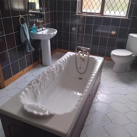 The Wandering Donkey 3*