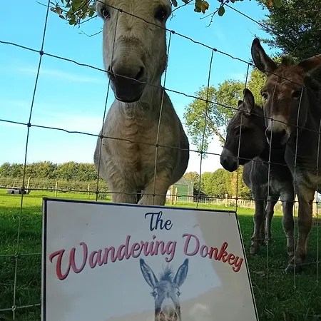 بيت ضيافة The Wandering Donkey 3*