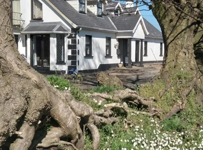 The Wandering Donkey Карлоу