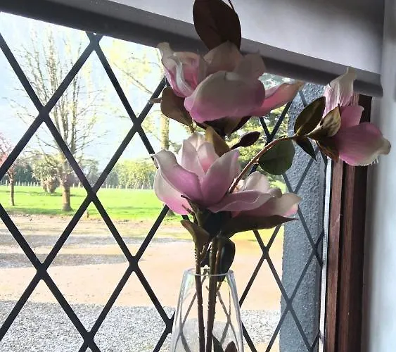The Wandering Donkey 3* Carlow